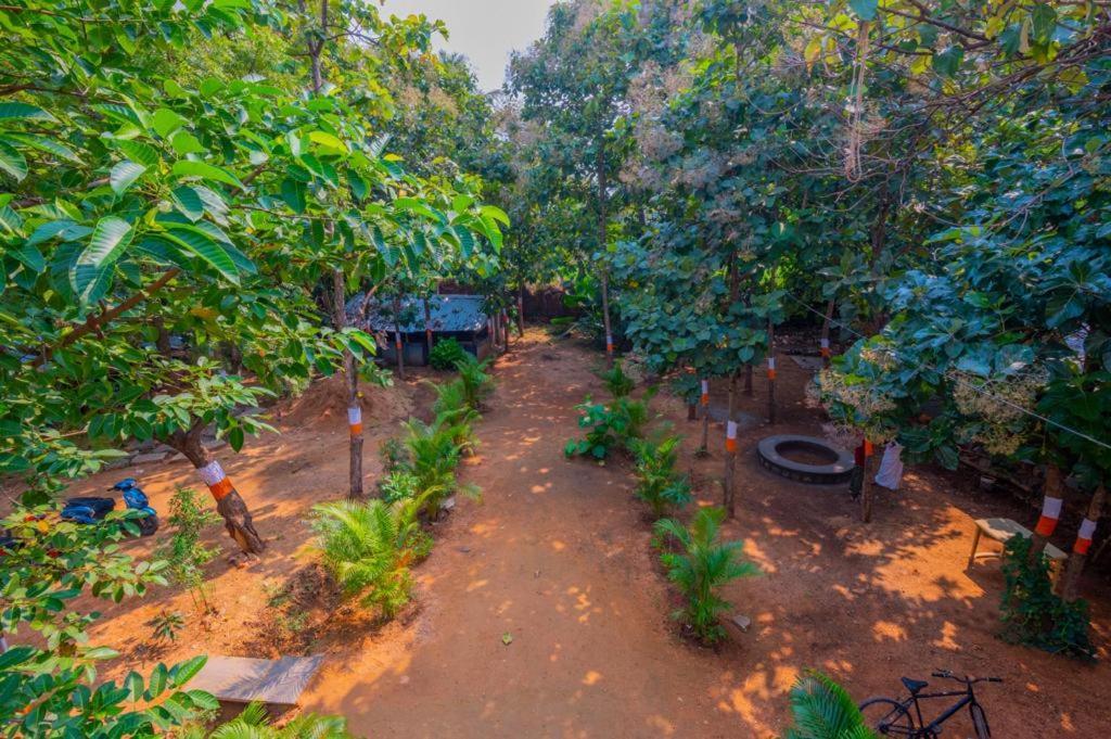 Saptami Hampi Homestay Eksteriør billede